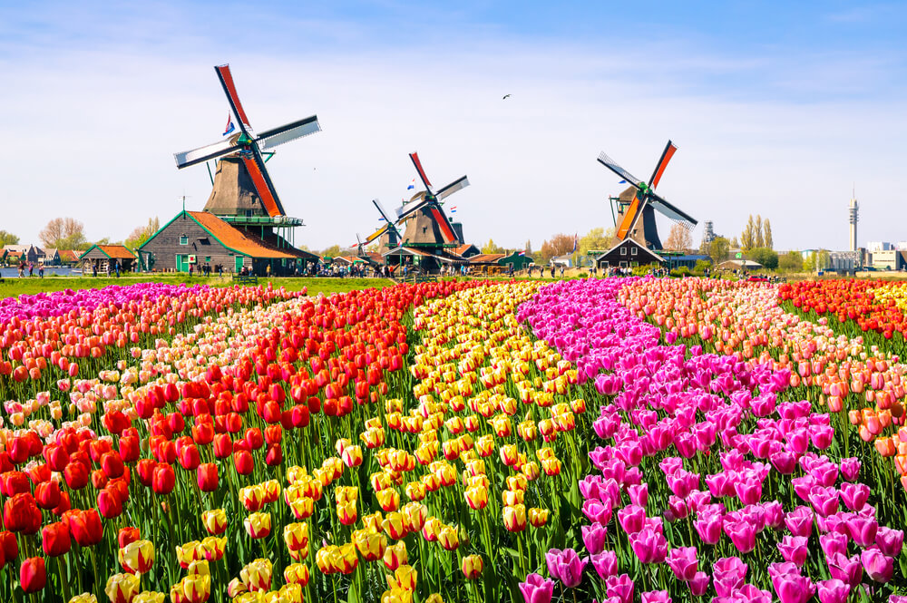 荷蘭留學申請懶人包｜一篇瞭解荷蘭留學優勢、申請條件、費用及獎學金！